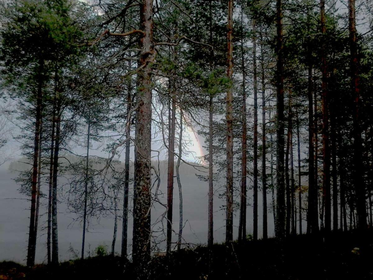 Villa Nina Luikonlahti Dış mekan fotoğraf